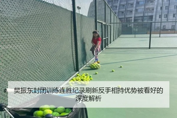 樊振东封闭训练连胜纪录刷新反手相持优势被看好的深度解析